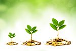 drie plantjes die uit euro's groeien