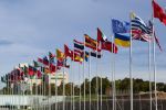 Vlaggen van over de hele wereld